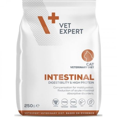 VetExpert VD 4T Intestinal Cat suché veterinárne krmivo pre mačky 250 g