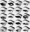 Dermacol Ultra Black Eyeliner - tekuté oční linky Black 2,8 ml