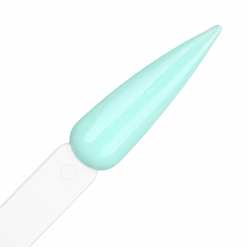 ALL-IN-ONE gél v fľaštičke – Brush Feel The Mint 11g