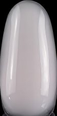 Excellent PRO Quick Gel vo fľaštičke 03 , 11g