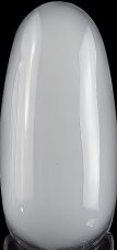 Excellent PRO Quick Gel vo fľaštičke 02 , 11g