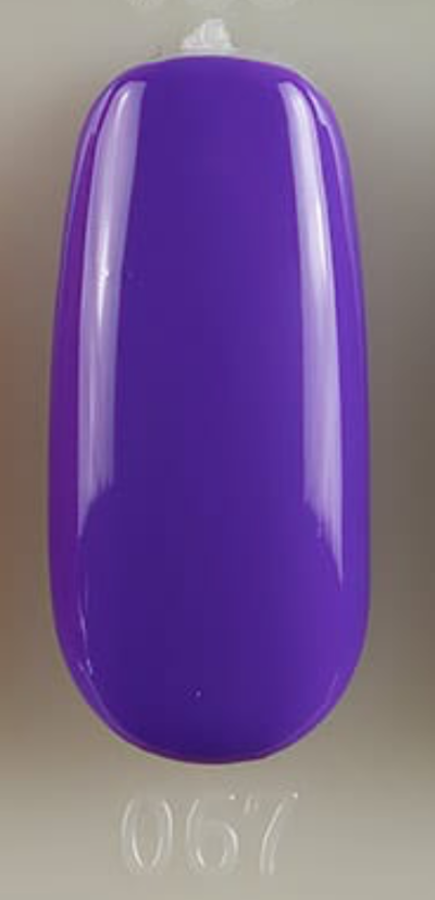 Gel Lak Basic Color 67 Violet - 11g